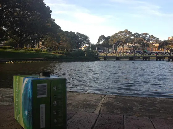 Near Victoria Park Playground, Camperdown