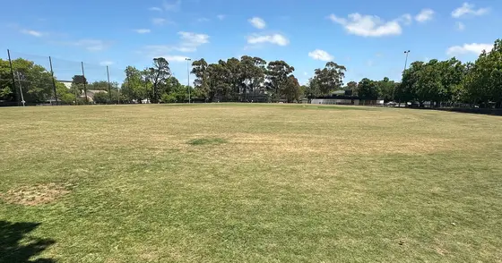 Near Canterbury Sports Ground playground, Surrey Hills