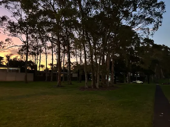 Near Paine Park playground, Moorebank