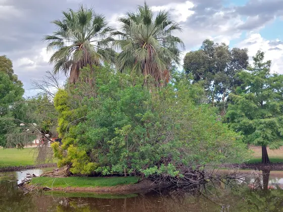 Near Gochean Reserve playground, Bentley