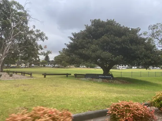 Near Gillman Reserve, Yagoona