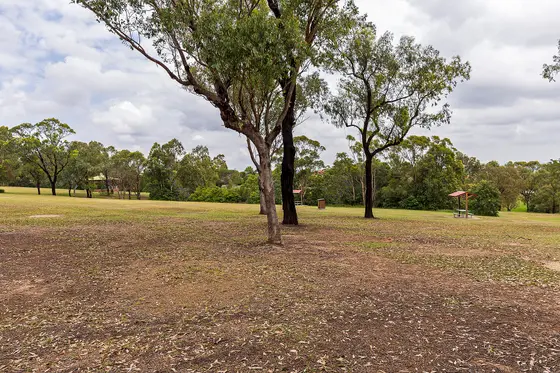 Near Stockade Hill Park playground, East Maitland