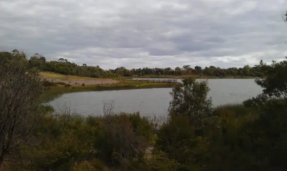 Near Mavis Hutter Reserve playground, Oakleigh South