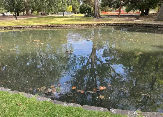 Near Caulfield Park playground, Caulfield North