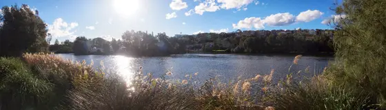 Near Lagoon Park – West, Manly