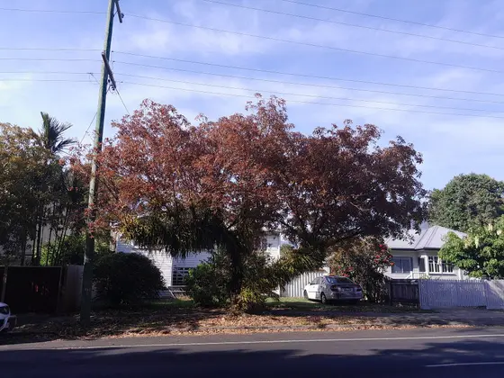 Near Engineers Parks playground, Whitfield