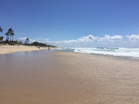 Near Hollindale Park playground, Main Beach