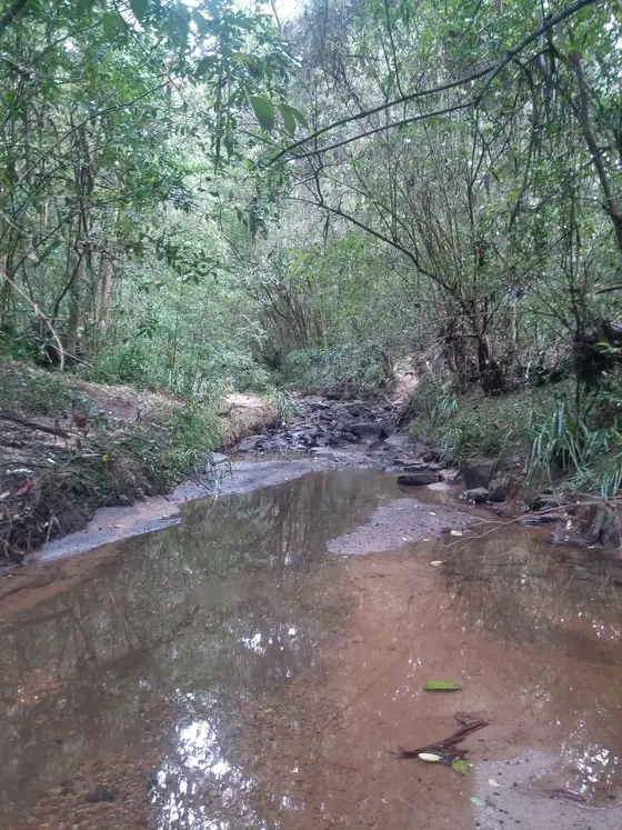 Near Colong Reserve, Leumeah