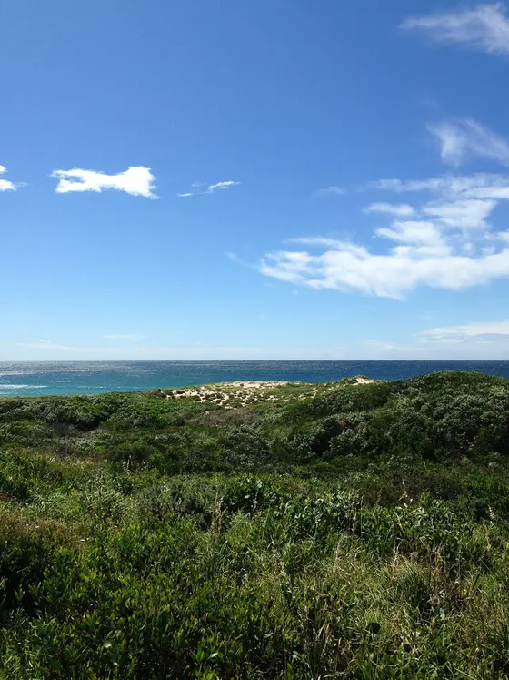 Near Don Lucas Reserve playground, Cronulla