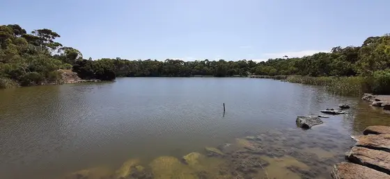 Near Newport Lakes, Newport