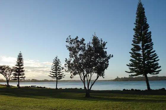 Near Meldrum Park playground, Ballina