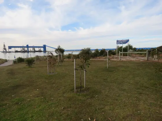 Near Governor Road Reserve playground, East Rockingham