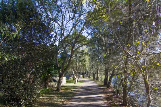 Near Wanstead Reserve, Earlwood