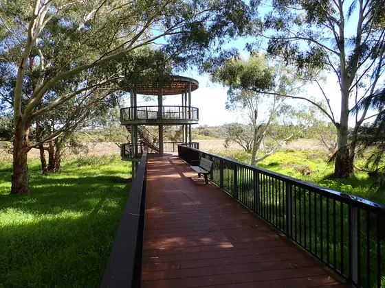 Near Studmaster Park playground, Wanneroo
