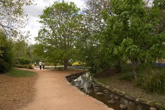 Near Stone Fort, Parkes