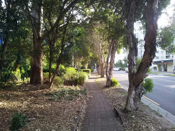 Near Standfield Park, Mascot