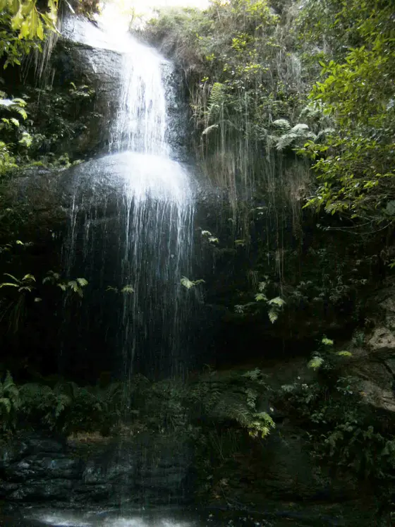 Near Bloome Park playground, Leura