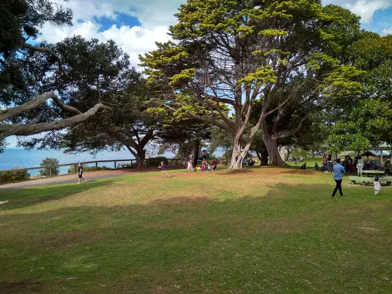 Near David MacFarlan Recreation Reserve Playground, Sorrento