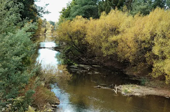 Near Deloraine Playgrounds, Deloraine