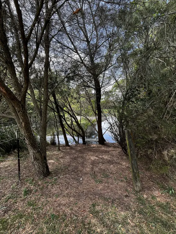 Near Renown Park, Oatley