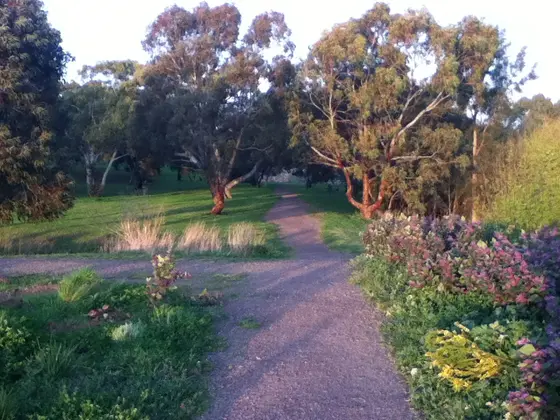 Near Brodie Road Wetlands playground, Morphett Vale