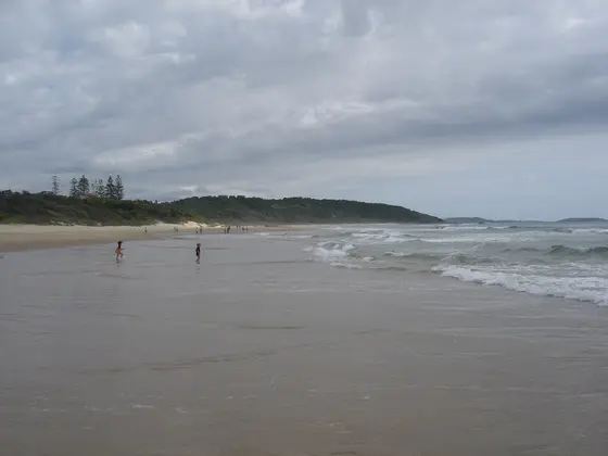 Near Wonga Park Playground, Sawtell