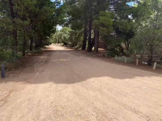 Near Chaffey Park playground, Merbein