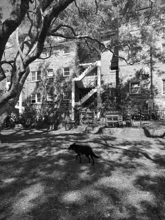 Near Gallimore Reserve, Balmain