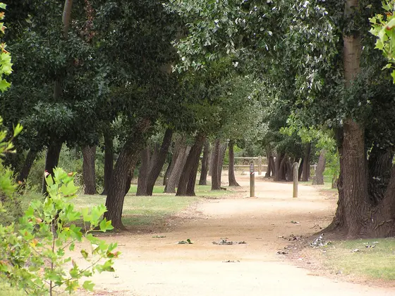 Near All Abilities Playground, Bairnsdale
