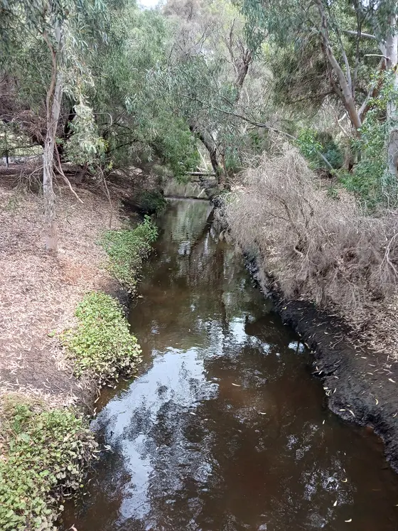 Near Riverside Gardens West playground, Bayswater