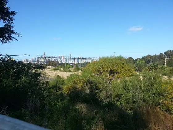 Near Railway Parade Reserve, Annandale
