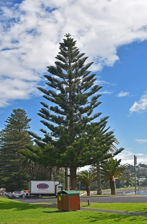 Near Blowhole Point Reserve, Kiama