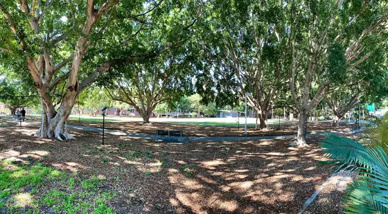 Near Marshall Park playground, Kelvin Grove