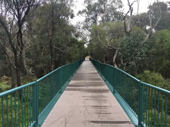 Near Coonawarra Park playground, Caversham