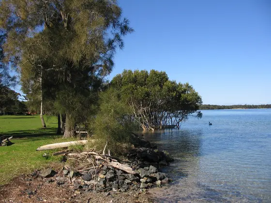 Near Ferry Reserve playground, North Shore