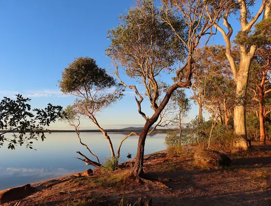 Near Boreen Pt Foreshore, Boreen Point