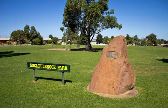 Near Noel Pulbrook Park playground, Leeton