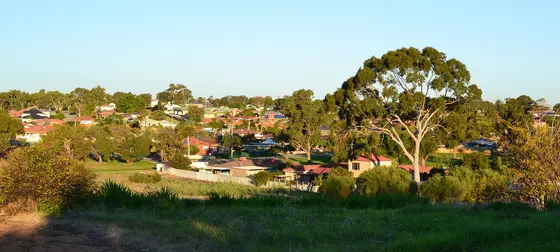 Near Isted Reserve playground, Hamilton Hill