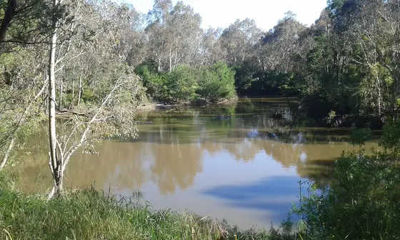 Near Chelsworth Park playground, Ivanhoe