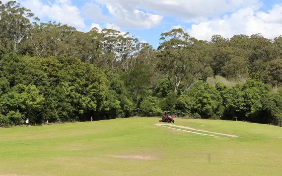 Near Browns Field, Wahroonga