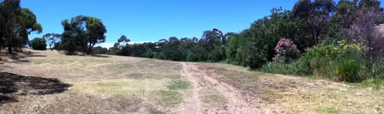 Near Log Cabin playground, Christie Downs