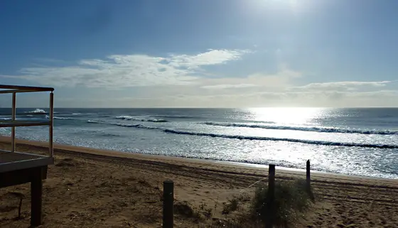 Near North Narrabeen Playground, Narrabeen