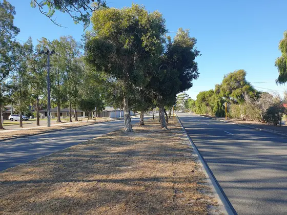 Near Sheldrake Park playground, Willetton
