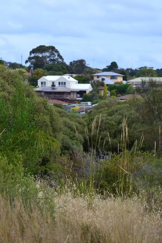 Near Central Avenue Reserve playground, Hallett Cove