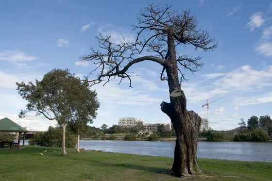 Near Kendrick Park, Tempe