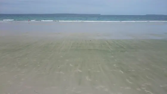 Near Blenheim Beach Reserve, Vincentia