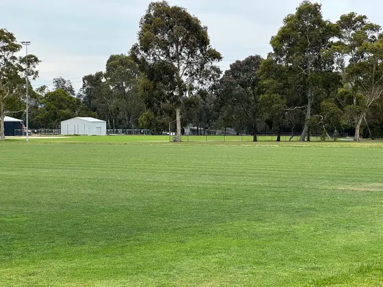 Near HA Smith Reserve playground, Hawthorn