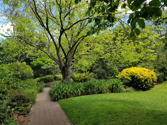 Near E G Waterhouse National Camellia Gardens playground, Caringbah South