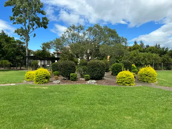Near Fotheringham Park playground, Taree