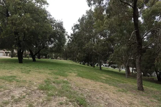 Near Fred Jones Reserve playground, Bicton